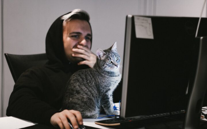 Bir adam kedisiyle beraber Türkçe eğitim videosu izliyor.